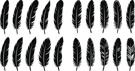 Collection of black feather silhouette vector illustrations with diverse shapes and detailed designs for creative artwork © MstRezoara