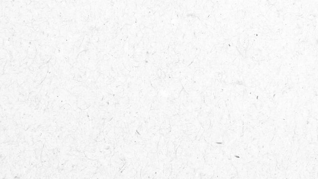 White recycle craft paper cardboard surface texture background stop motion