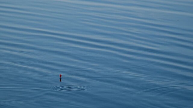 Fishing float bobbing on calm blue water surface. Small orange buoy drifting during angling activity. Ripple wave pattern on lake for outdoor recreational sport.