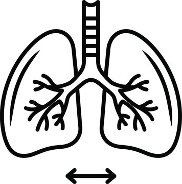 Human lungs anatomy illustration with trachea and bronchial tree black and white line art