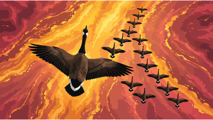 Canada Geese Flying in V Formation: Migration Leadership Concept © Nimker harva