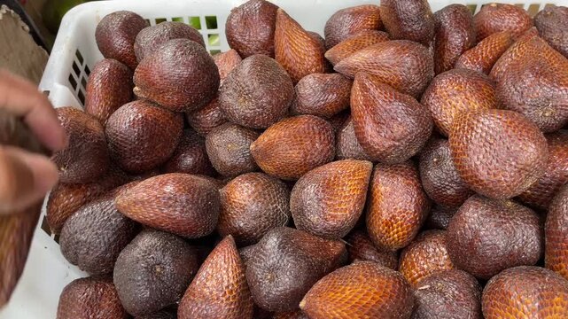 Someone's hand selects salak fruit in a basket, the selected salak fruit is piled up, the harvest of fresh salak fruit is ready to be sold