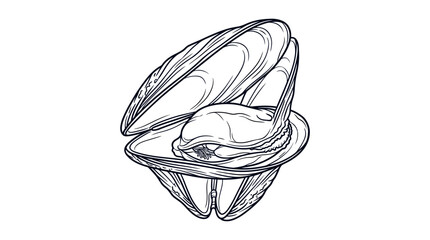 Open Mussel Shell with Meat Inside, Hand Drawn Sketch Illustration © Cendoole
