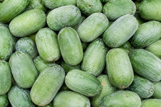 Winter Melon Vegetable Background. Vegetable Background. Generative Ai