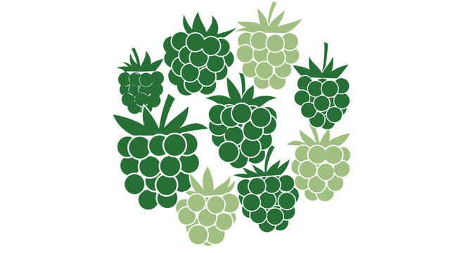 A graphic illustration of a cluster of green raspberries in varying shades, arranged in a circular pattern on a white background.
