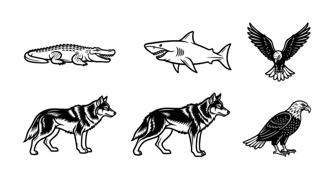 Black and white animal illustrations alligator shark eagle wolf designs