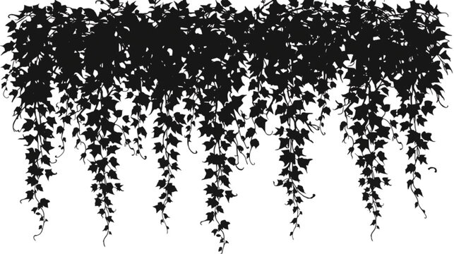 Vines Descending: A silhouette of lush ivy vines cascading downwards, creating a decorative natural border.