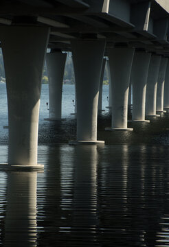 Under the SR 520 Floating Bridge at Foster Point Trail
