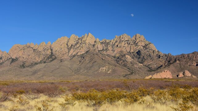 moonrise over the jagged peaks of the organ mountains-desert peaks national monument on a sunny winter day in north las cruces, new mexico