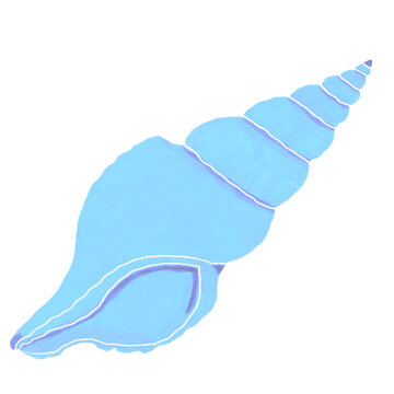 Hand drawn illustration of a blue wentletrap seashell isolated on a white background. Perfect for summer designs, marine life themes, ocean patterns, kids graphics, and coastal decor