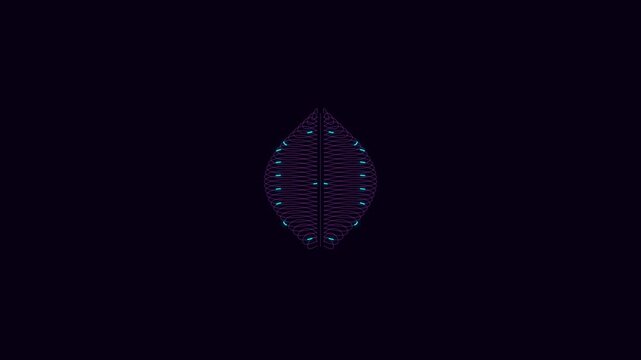 Abstract symmetrical pattern of glowing blue and red lines on black background