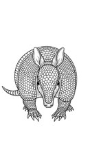 Obraz premium Line Art Armadillo Illustration Isolated Transparent Background