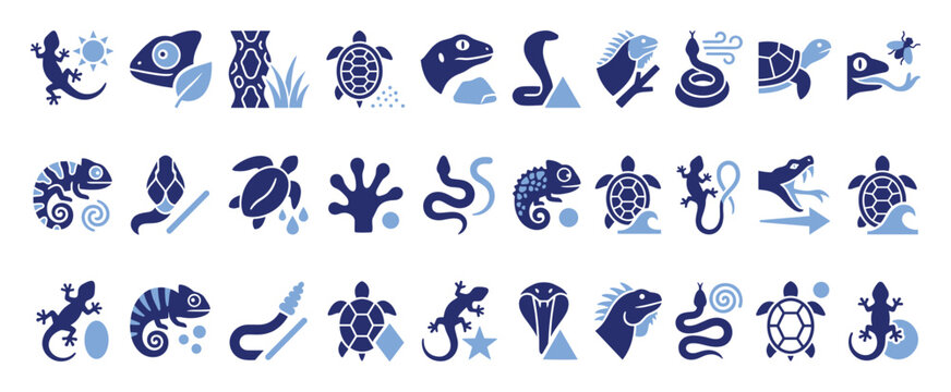 Set of reptile and amphibian icons for educational materials and digital applications