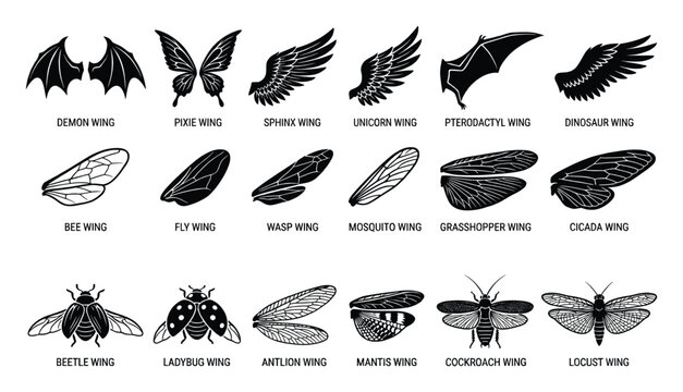 Set of diverse flying insect and mythological creature wings provides essential graphic elements