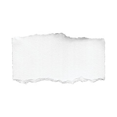 Fototapeta premium Torn paper, ripped edge, white background, texture, blank note