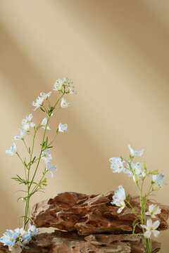 White and pastel blue flowers on a warm beige background with soft diagonal sunlight and clean foreground space for cosmetic or serum product placement.