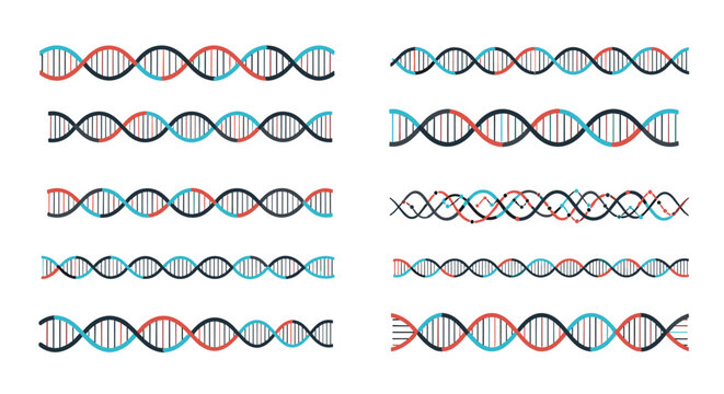 Scientific illustration displaying a collection of different DNA double helix strands in blue, red, and black colors.