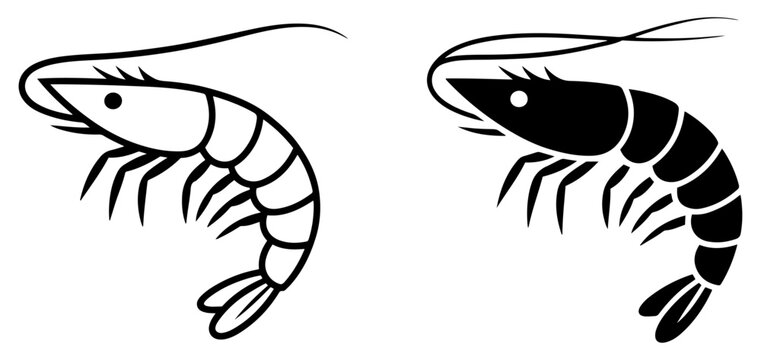 shrimp seafood prawn vector icon