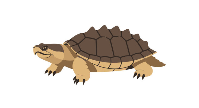 Brown snapping turtle reptile with spiky shell on white background