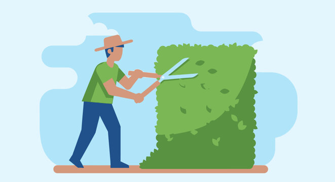 Man pruning green hedge with scissors in a sunny day vector illustration
