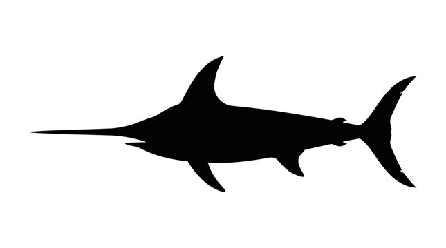 Silhouette of a Swordfish on a White Background.
