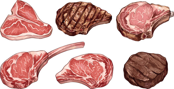 Butcher Meat Steak Cut Vector Set with Grilled Beef Pork Lamb Chops and Raw Barbecue Pieces Collection