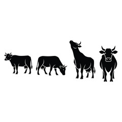 Fototapeta premium Four black cow silhouettes standing and grazing in a field