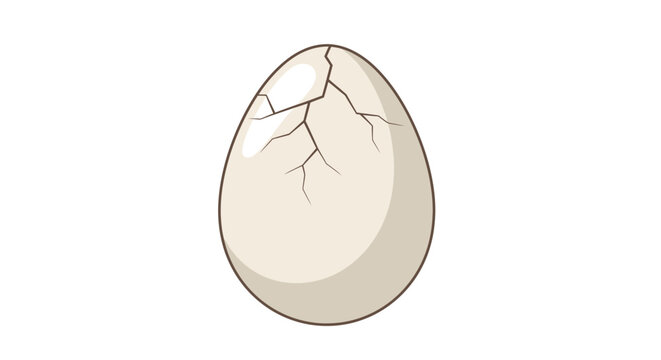 Cracked egg illustration on white background for design and concept use