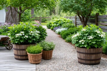 Fototapeta premium Garden path winding through lush green landscape