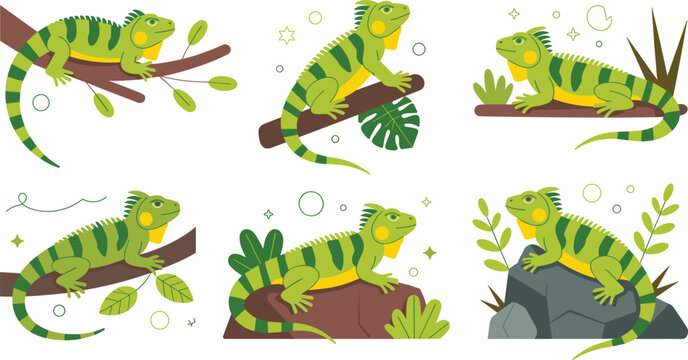 Green iguana vector illustration showing reptiles in natural poses on branches and rocks surrounded by tropical leaves artwork