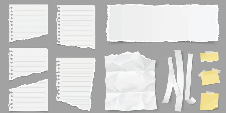 Collection of torn white paper pieces lined sheets and sticky notes with ripped edges