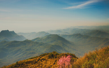 Fototapeta premium Golden hills roll into misty blue skies