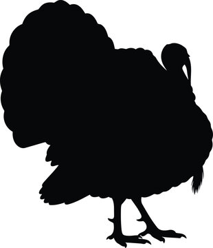 Black silhouette donkey braying