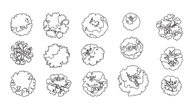 Set of trees top view for landscape design. park and garden element, vector illustration.
