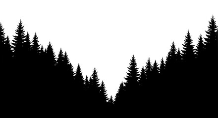Obraz premium silhouette of coniferous pine forest trees on white background