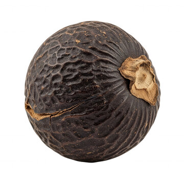 A single dried, dark brown nutmeg seed with a textured, wrinkled surface and a small woody cap isolated against a solid black background