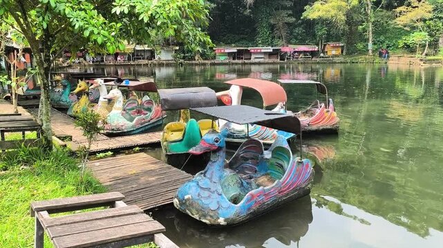 Colorful swan pedal boats docked at a serene lake in tropical forest park showing peaceful outdoor recreation nature lifestyle summer vacation and eco tourism concept in a green forest environment