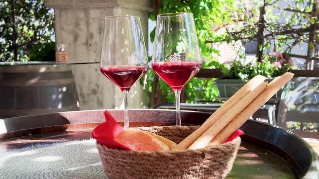 Red Wine and Italian Grissini Breadsticks on a Sunny Vineyard Terrace