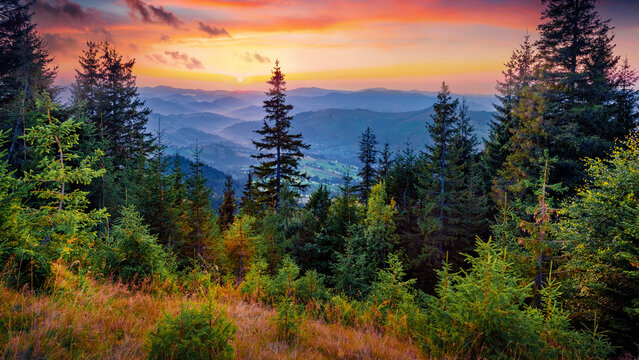Rolling hills glowing the first rays of the morning sun. Wonderful summer sunrise in Carpathian mountains, Ukraine, Europe. Beauty of nature concept background.