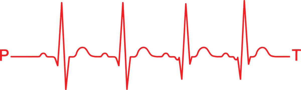 Red heart beat line showing ekg rhythm with p and t wave labels for medical cardiology and health monitoring concepts Vector