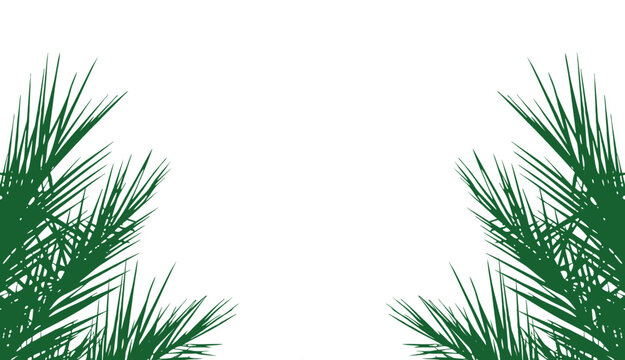 Tropical palm leaf frame background with lush green botanical foliage surrounding a clean modern layout. Exotic jungle fronds create a stylish summer border ideal for travel branding, beach invitation