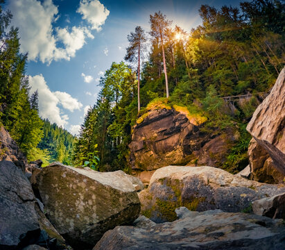 Fantastic view from the bottom of deep canyon to the top of trees. Captivating summer scene of  Carpathian mountains, Yaremcha resort location, Ukraine, Europe. Beauty of nature concept background.