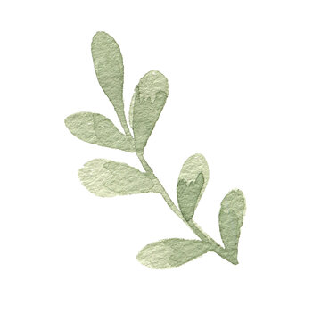 watercolor illustration greeb brunch
