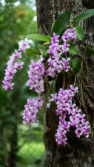 Obraz premium lilac flowers in the garden