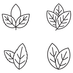 Fototapeta premium Four leaf line icons in different shapes and sizes with detailed veins isolated on white background simple botanical illustrations for design and decoration