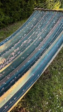 High angle vertical shot of a striped fabric hammock covered in fallen spring tree blossom petals in a sunlit garden