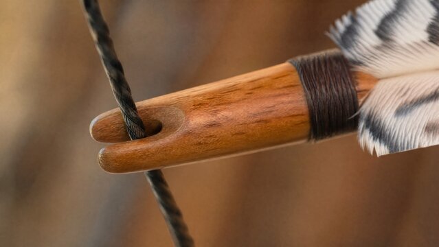 nock. Arrow nock fitted on bowstring, carved groove and wood grain in soft light. tutorial guides, club newsletters, designed for tourism and weekend activity guides, used by curriculum designers.