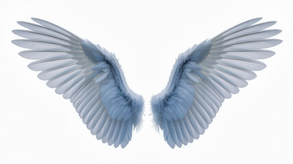 Fototapeta premium Majestic pair of soft white feathered wings spread wide for flight captured in a detailed high quality studio photo on white background