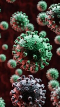 Macro photography style illustration of Hantavirus strains mutating in the human bloodstream, magnifying the lethal infectious pathogen, airborne dust transmission, and public health epidemic vertical
