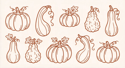 Vintage pumpkin line art set, hand drawn autumn squash and gourd illustrations, 10 rustic fall vegetable vector icons for thanksgiving decor © Muhammad
